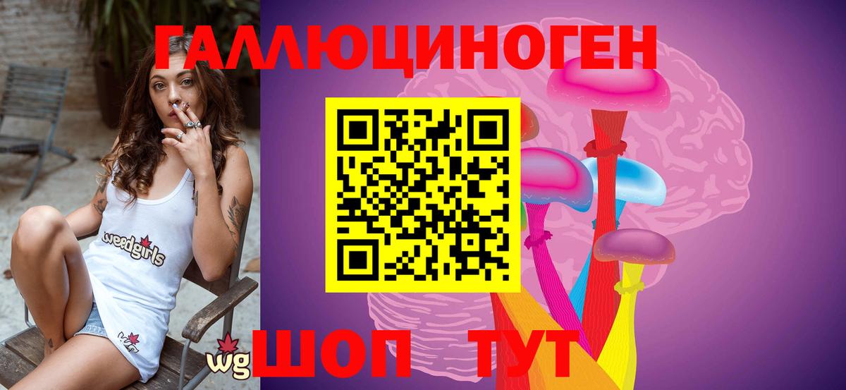Псилоцибиновые грибы прущие грибы Славянск-на-Кубани